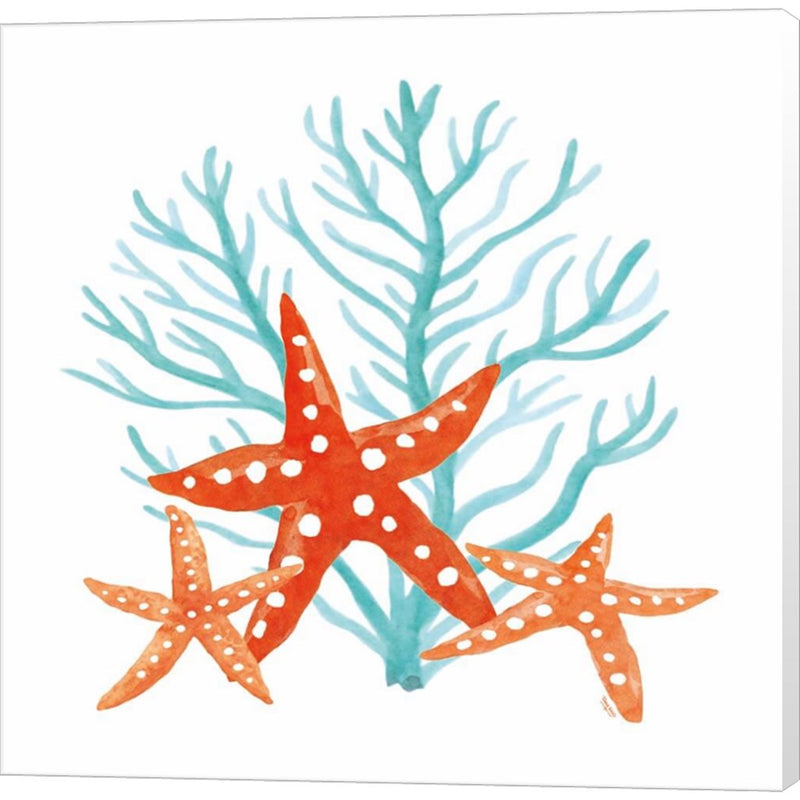 Coral Aqua XIII by Tara Reed, Canvas Art