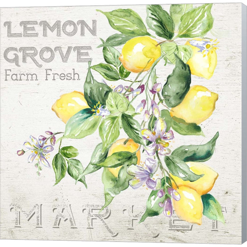 Lemon Grove II by Tre Sorelle Studios, Canvas Art