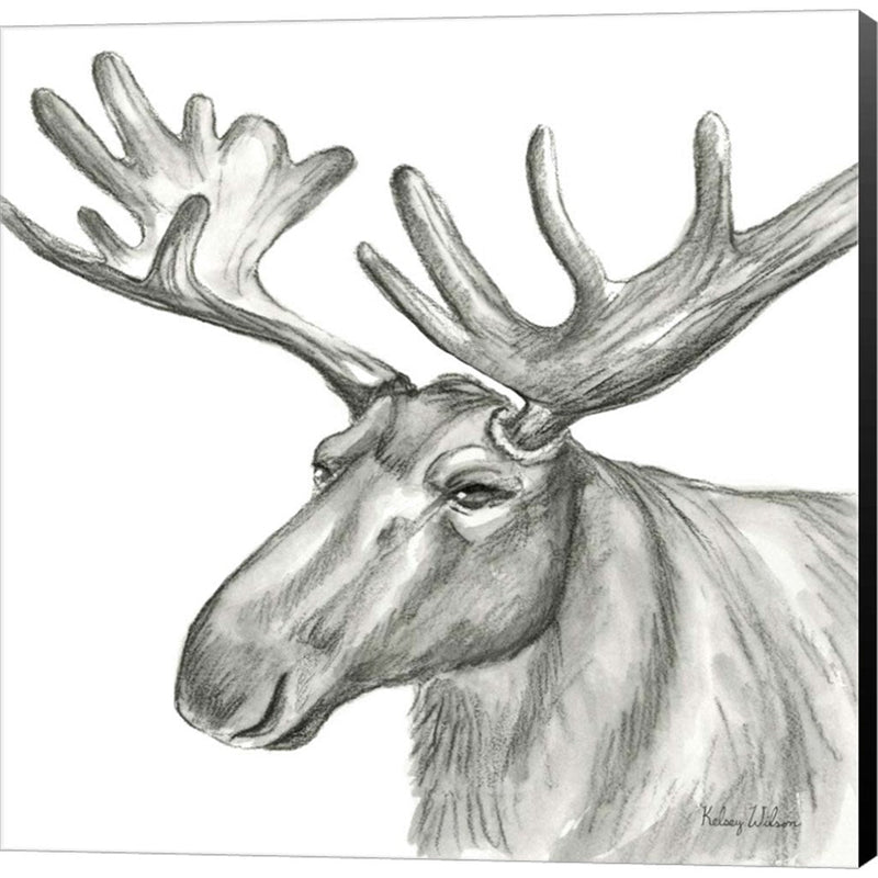 Watercolor Pencil Forest I-Moose by Kelsey Wilson, Canvas Art