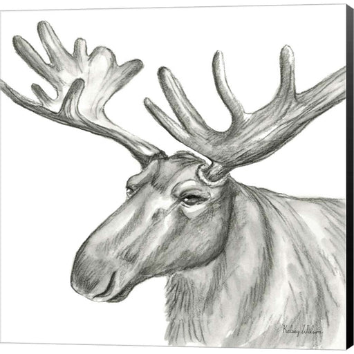 Watercolor Pencil Forest I-Moose by Kelsey Wilson, Canvas Art