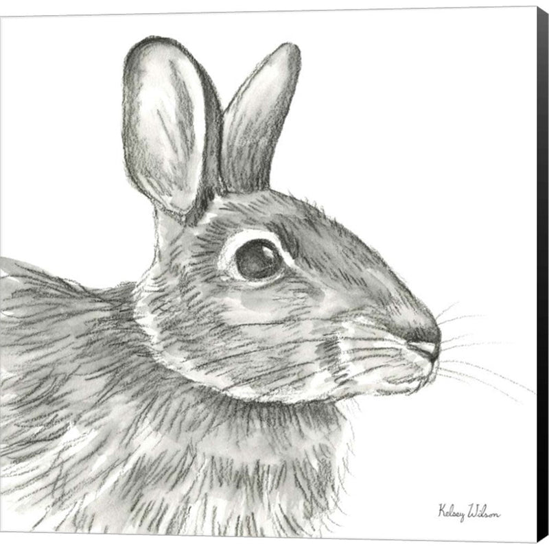 Watercolor Pencil Forest II-Rabbit by Kelsey Wilson, Canvas Art