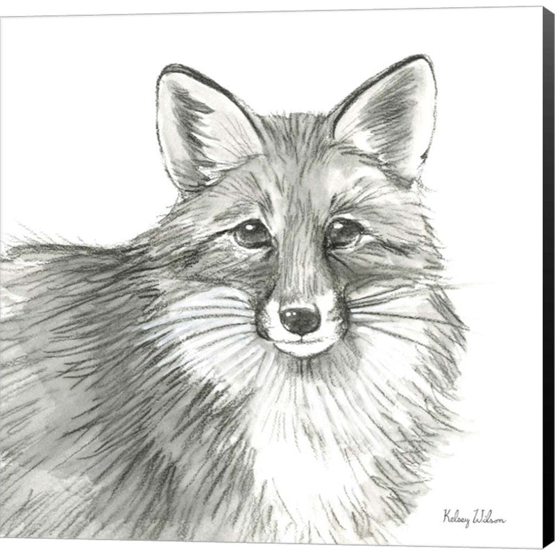 Watercolor Pencil Forest III-Fox by Kelsey Wilson, Canvas Art
