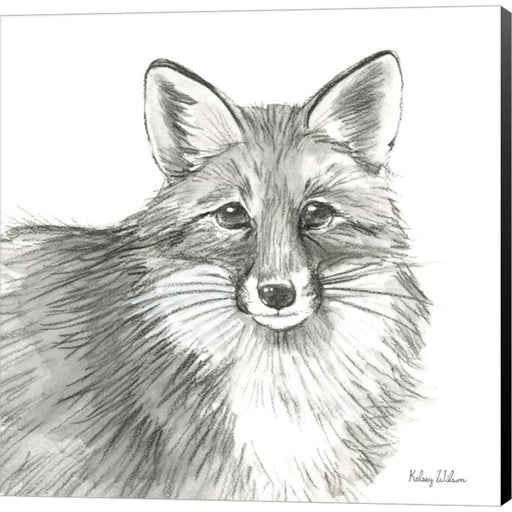Watercolor Pencil Forest III-Fox by Kelsey Wilson, Canvas Art
