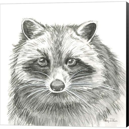 Watercolor Pencil Forest VI-Raccoon by Kelsey Wilson, Canvas Art