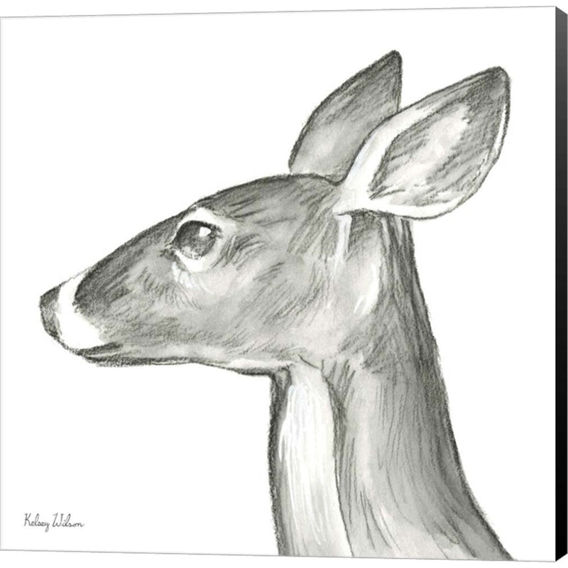 Watercolor Pencil Forest VII-Doe by Kelsey Wilson, Canvas Art