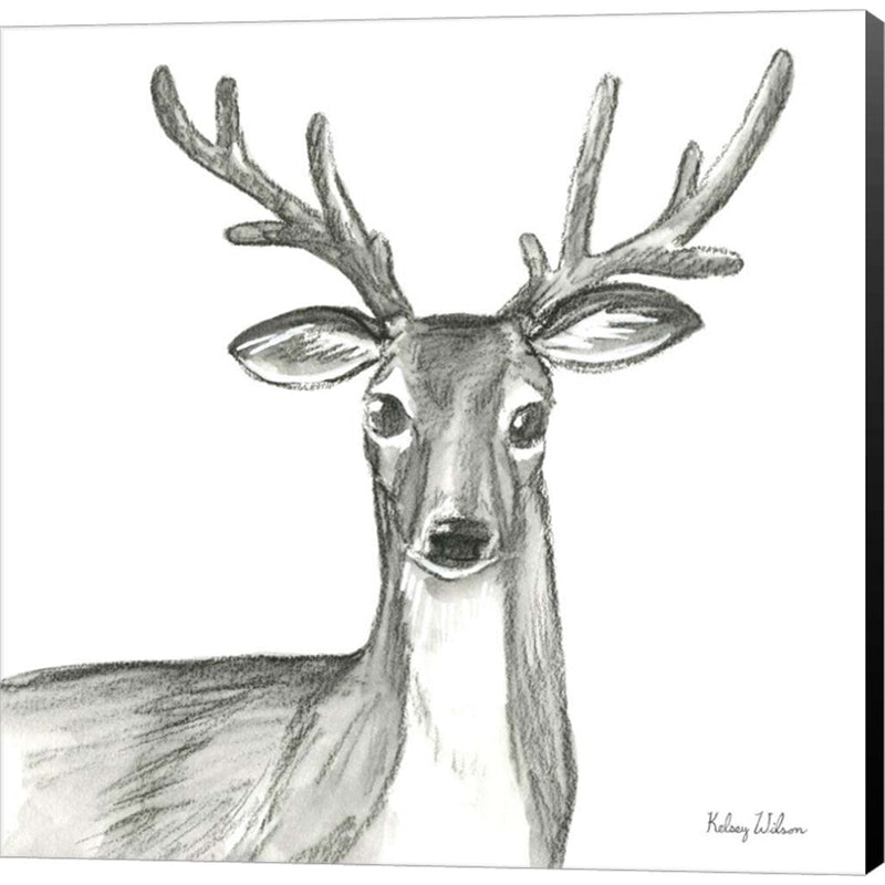 Watercolor Pencil Forest VIII-Deer by Kelsey Wilson, Canvas Art