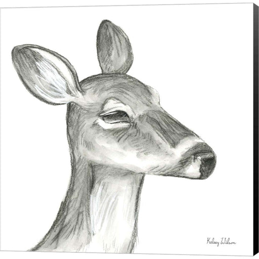 Watercolor Pencil Forest IX-Fawn by Kelsey Wilson, Canvas Art