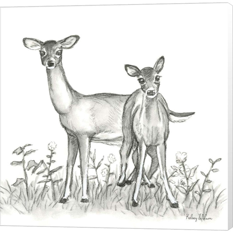 Watercolor Pencil Forest X-Deer Family by Kelsey Wilson, Canvas Art