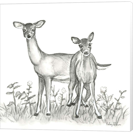 Watercolor Pencil Forest X-Deer Family by Kelsey Wilson, Canvas Art