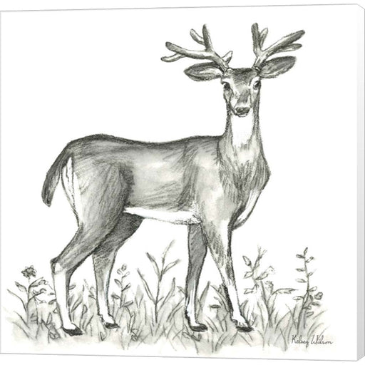 Watercolor Pencil Forest XI-Deer 2 by Kelsey Wilson, Canvas Art