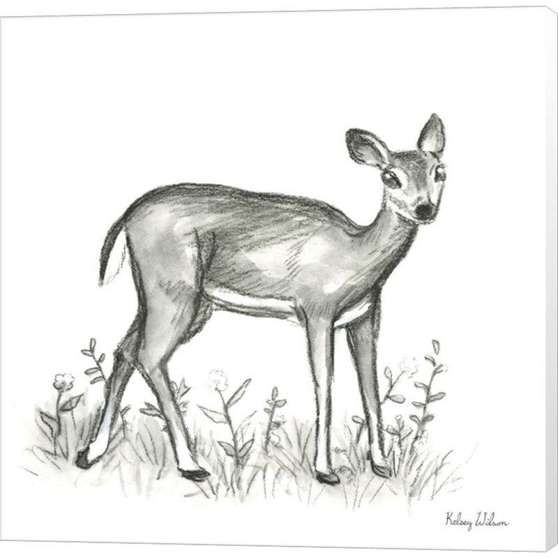 Watercolor Pencil Forest XII-Fawn 2 by Kelsey Wilson, Canvas Art