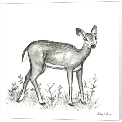 Watercolor Pencil Forest XII-Fawn 2 by Kelsey Wilson, Canvas Art