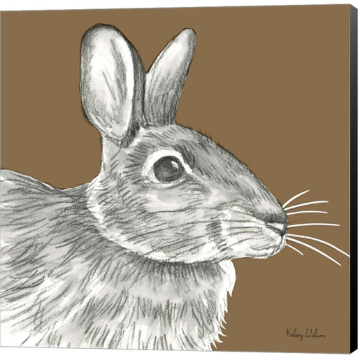 Watercolor Pencil Forest color II-Rabbit by Kelsey Wilson, Canvas Art