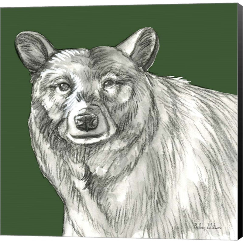 Watercolor Pencil Forest color V-Bear by Kelsey Wilson, Canvas Art