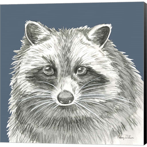 Watercolor Pencil Forest color VI-Raccoon by Kelsey Wilson, Canvas Art