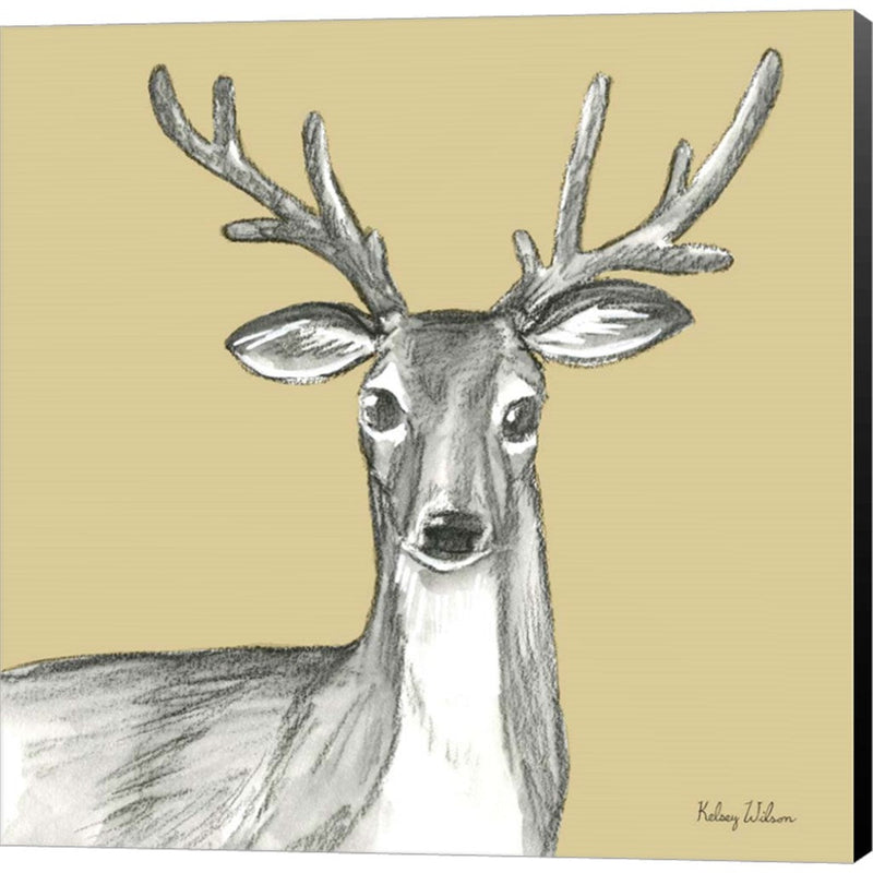 Watercolor Pencil Forest color VIII-Deer by Kelsey Wilson, Canvas Art