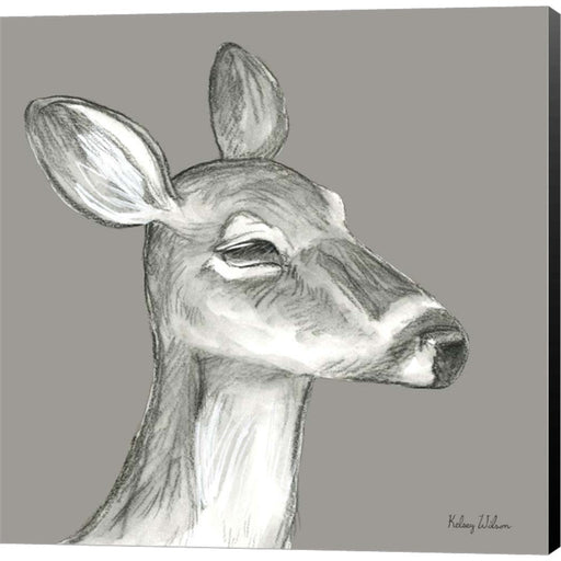Watercolor Pencil Forest color IX-Fawn by Kelsey Wilson, Canvas Art