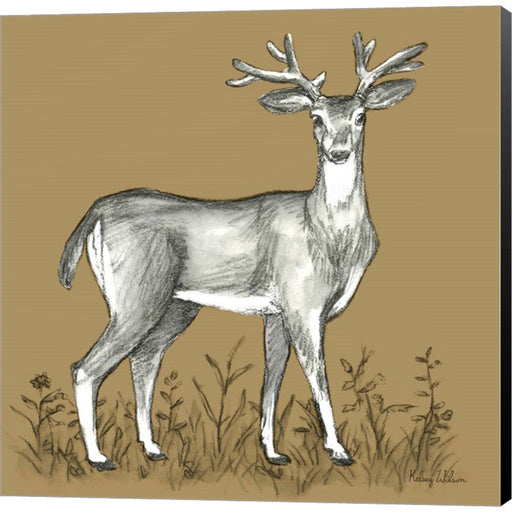 Watercolor Pencil Forest color XI-Deer 2 by Kelsey Wilson, Canvas Art