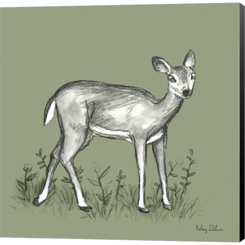 Watercolor Pencil Forest color XII-Fawn 2 by Kelsey Wilson, Canvas Art