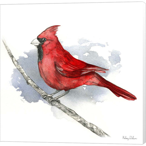 Birds & Branches I-Cardinal by Kelsey Wilson, Canvas Art