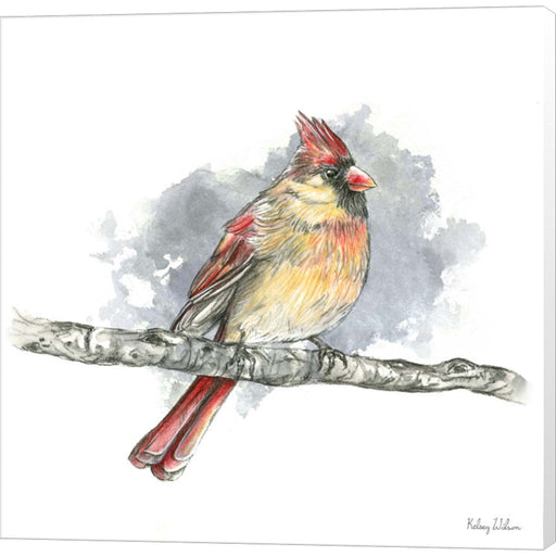 Birds & Branches II-Female Cardinal by Kelsey Wilson, Canvas Art