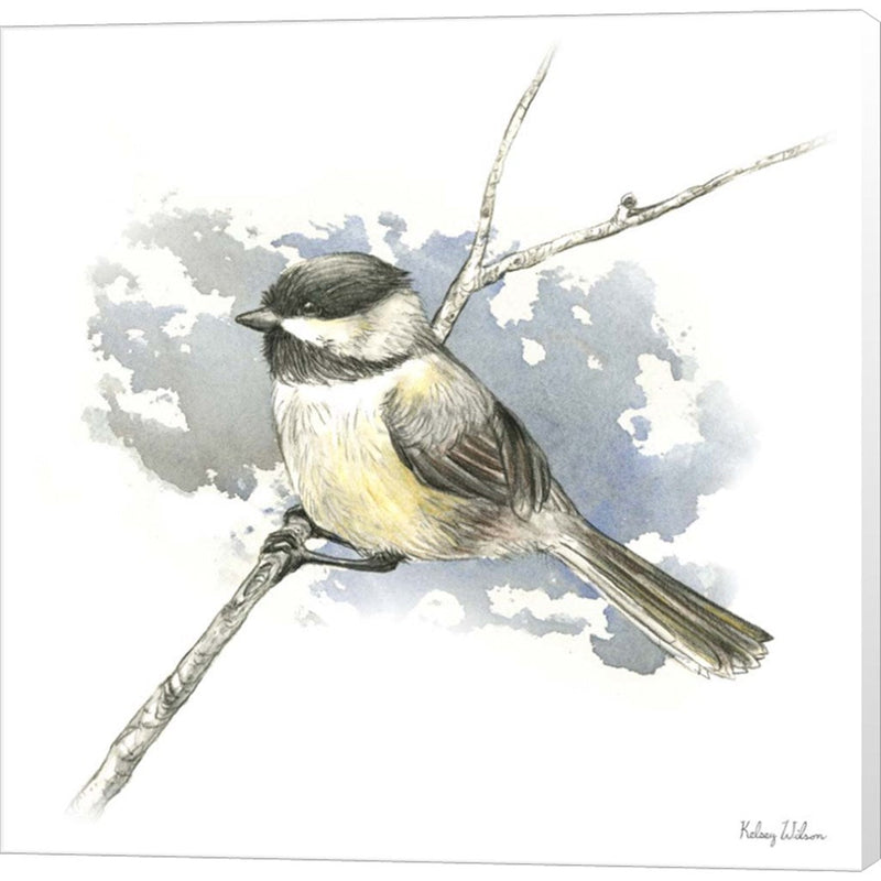 Birds & Branches III-Chickadee by Kelsey Wilson, Canvas Art