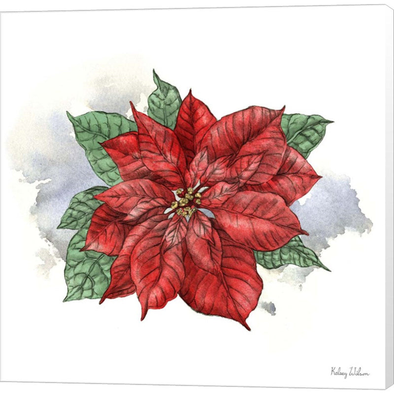 Winter Poinsetta I by Kelsey Wilson, Canvas Art