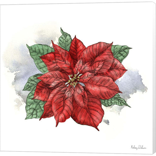 Winter Poinsetta I by Kelsey Wilson, Canvas Art