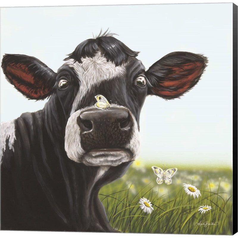 Daisy Mae by Angela Bawden, Canvas Art