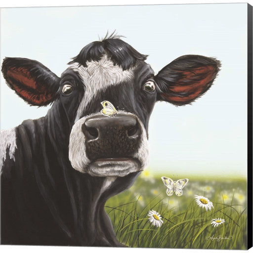 Daisy Mae by Angela Bawden, Canvas Art