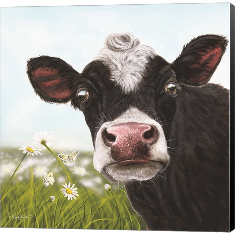 Daisy Moo by Angela Bawden, Canvas Art
