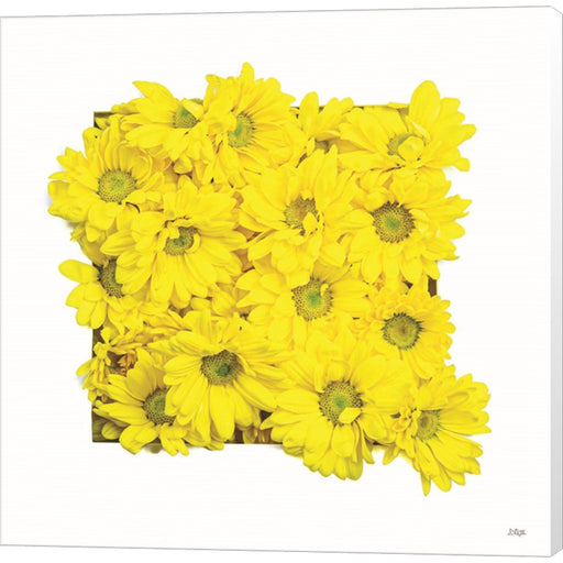 Floral Pop II by Donnie Quillen, Canvas Art