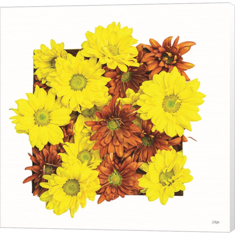 Floral Pop III by Donnie Quillen, Canvas Art