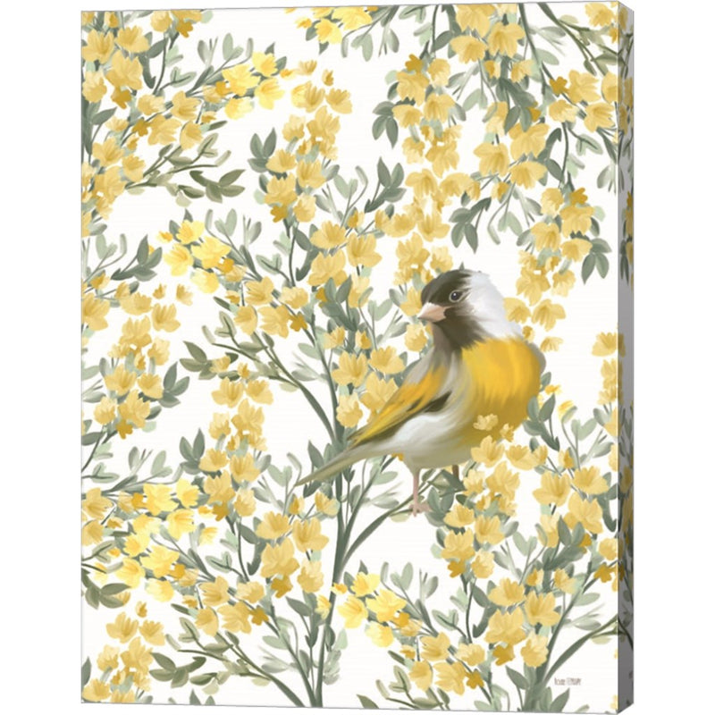 Yellow Spring Finch by House Fenway, Canvas Art