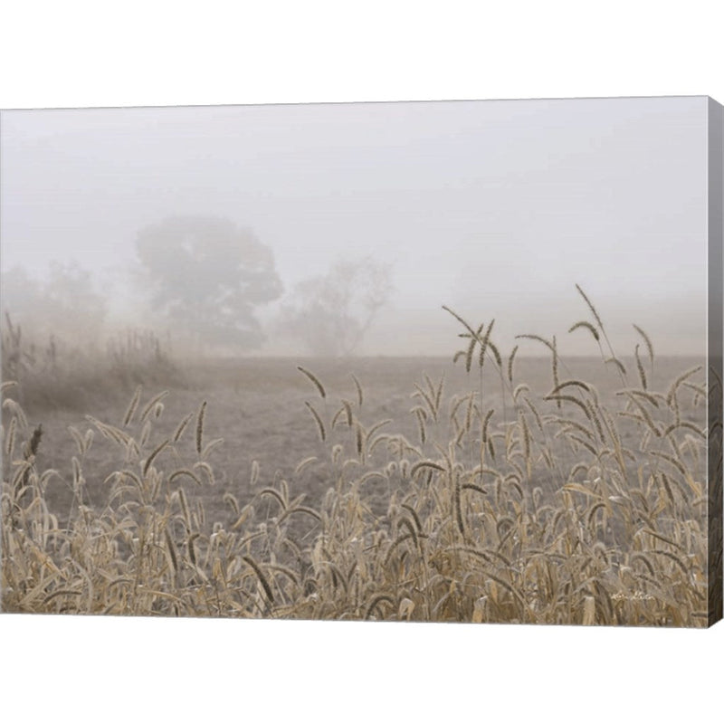 Roadside Grass by Lori Deiter, Canvas Art