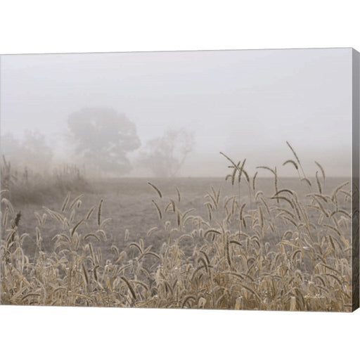 Roadside Grass by Lori Deiter, Canvas Art