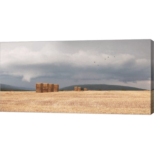 Stormy Day Harvest I by Lori Deiter, Canvas Art