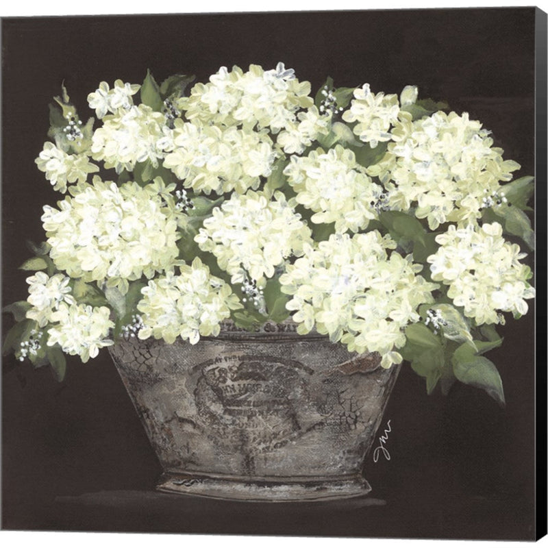 Snowball Hydrangea Pail by Julie Norkus, Canvas Art