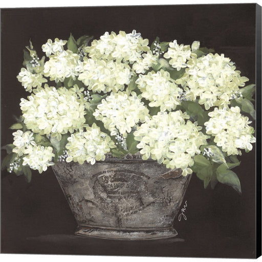 Snowball Hydrangea Pail by Julie Norkus, Canvas Art