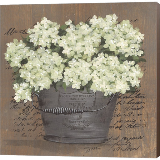 Heavenly Hydrangeas II by Julie Norkus, Canvas Art