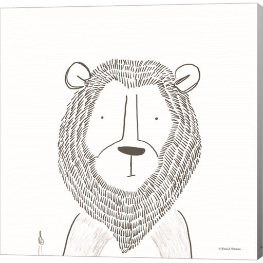 Lion Line Drawing 1 by Rachel Nieman, Canvas Art