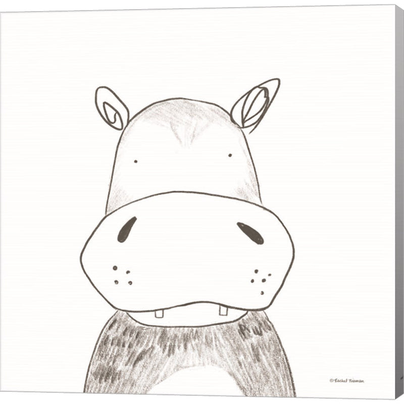 Hippo Line Drawing by Rachel Nieman, Canvas Art