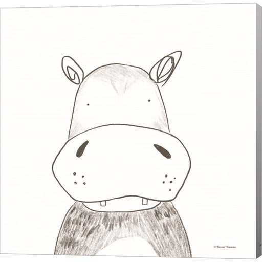 Hippo Line Drawing by Rachel Nieman, Canvas Art