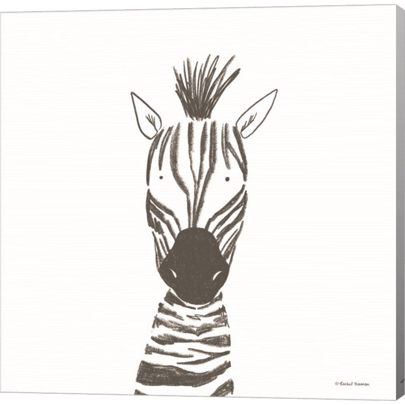 Zebra Line Drawing by Rachel Nieman, Canvas Art