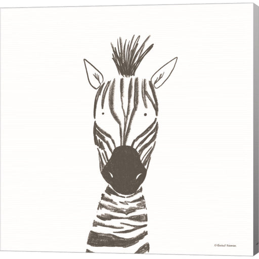 Zebra Line Drawing by Rachel Nieman, Canvas Art