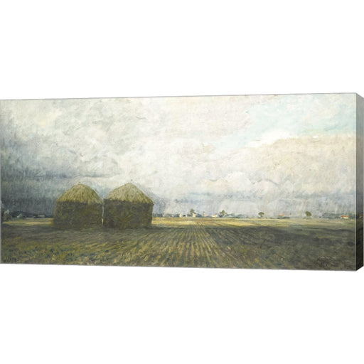 Hayfields by Stellar Design Studio, Canvas Art