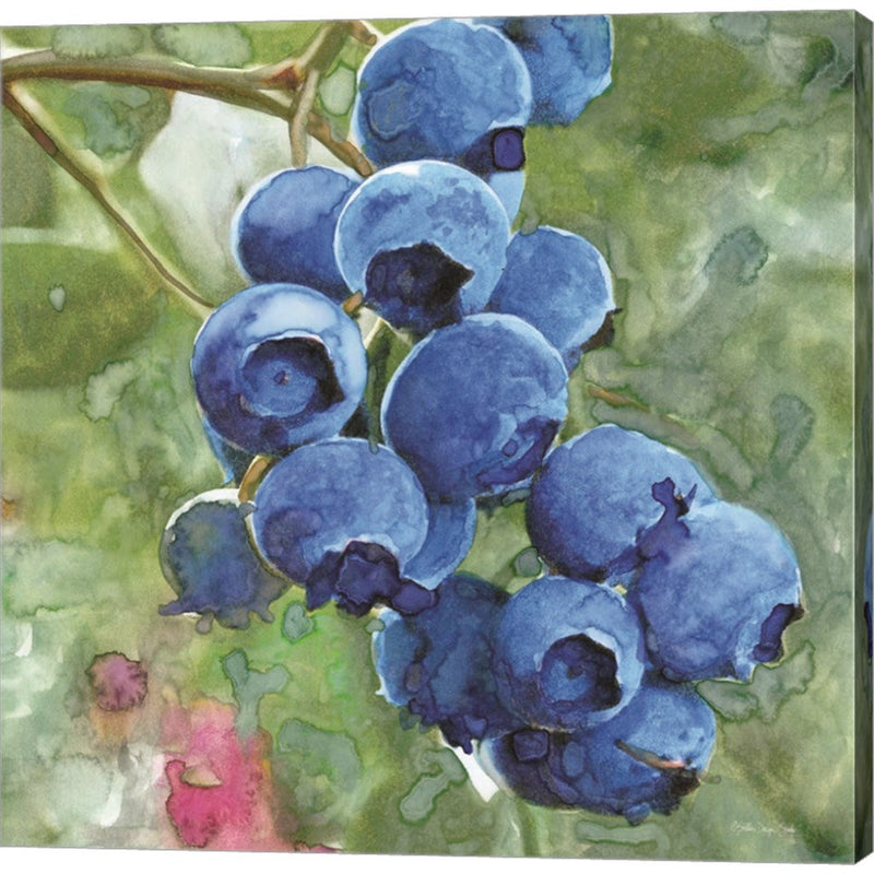 Blueberries 4 by Stellar Design Studio, Canvas Art