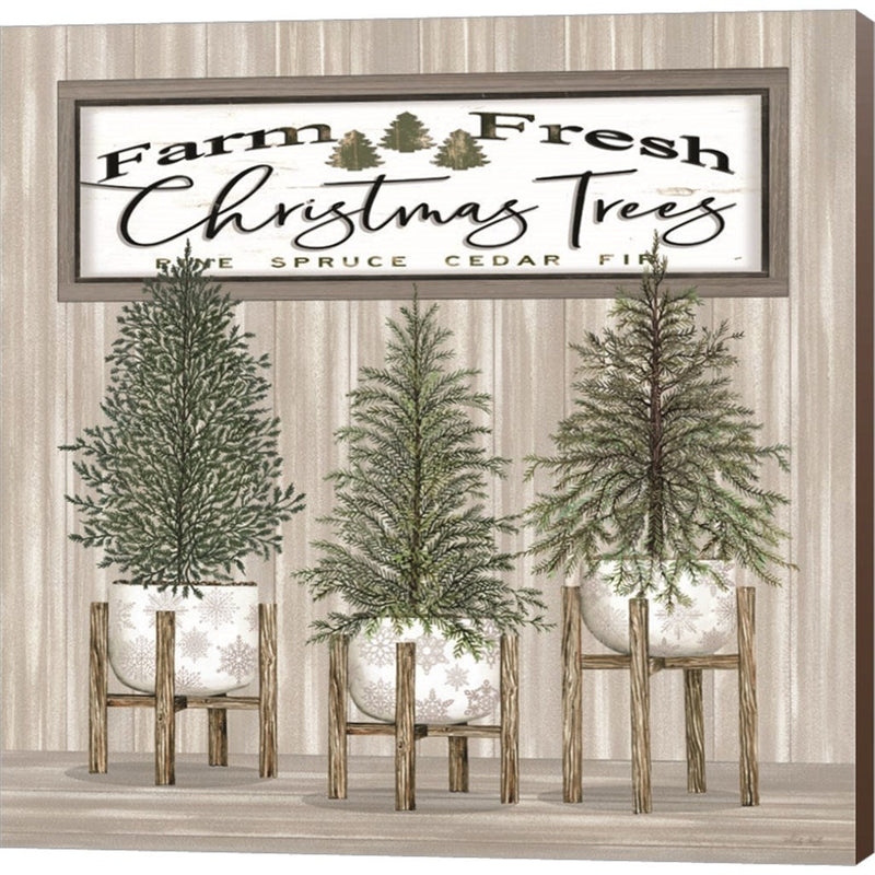 Potted Christmas Trees by Cindy Jacobs, Canvas Art