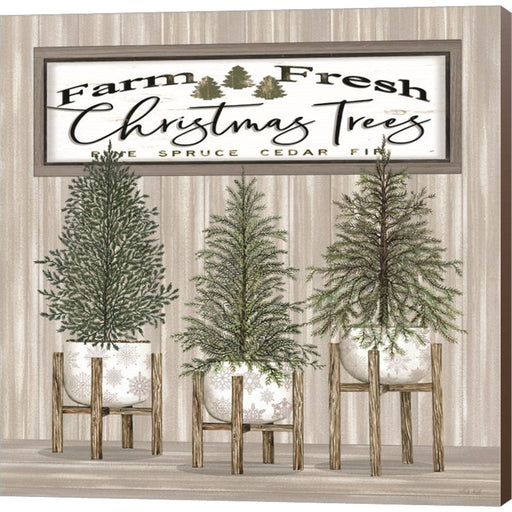 Potted Christmas Trees by Cindy Jacobs, Canvas Art