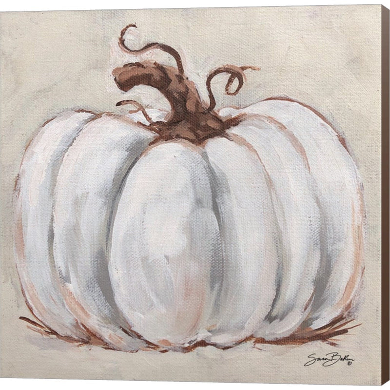 Pumpkin Close-Up I by Sara Baker, Canvas Art